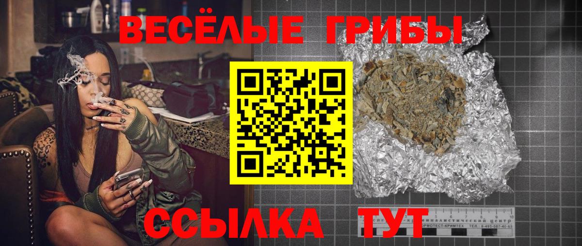 Псилоцибиновые грибы Cubensis Ржев